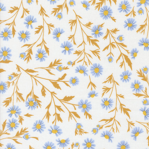 Sun Drenched - Wild Daisy - Cloud
