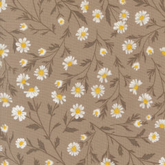 Sun Drenched - Wild Daisy - Stone