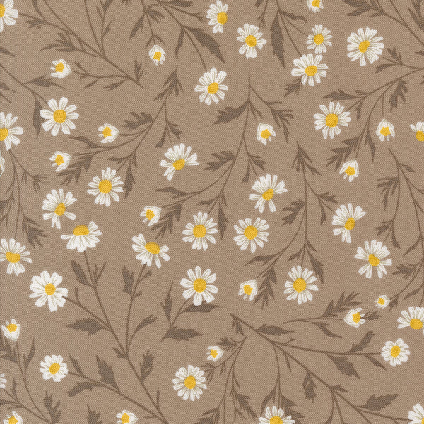 Sun Drenched - Wild Daisy - Stone