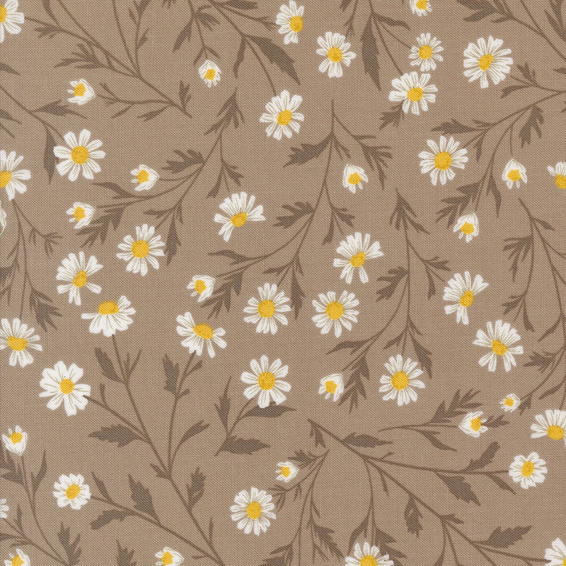 Sun Drenched - Wild Daisy - Stone