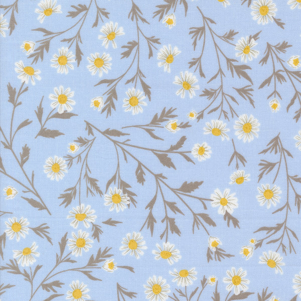 Sun Drenched - Wild Daisy - Sky