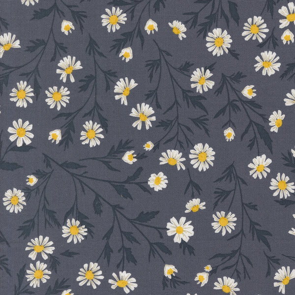 Sun Drenched - Wild Daisy - Indigo