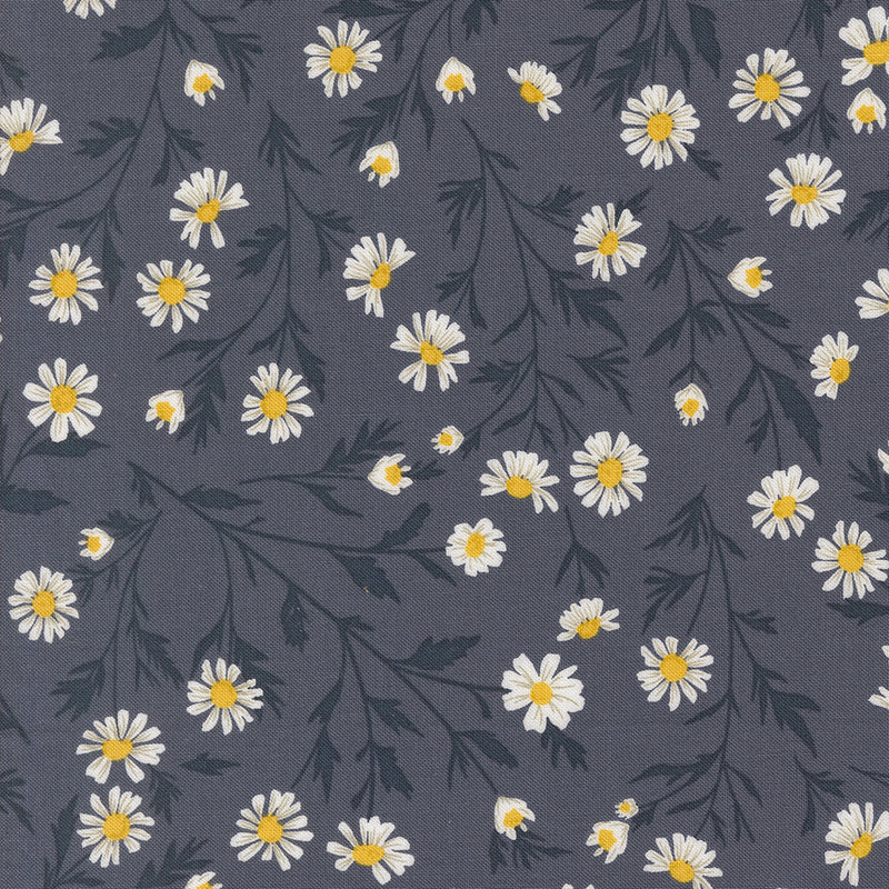 Sun Drenched - Wild Daisy - Indigo