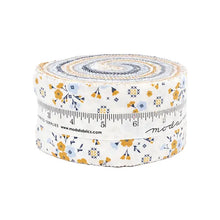 Load image into Gallery viewer, Sun Drenched - 2.5 inch Jelly Roll - 40 pieces