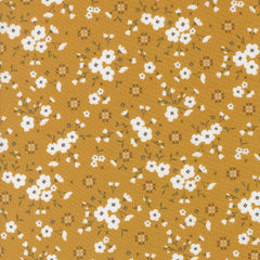 Sun Drenched - Stitched Lullaby - Golden