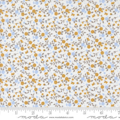 Sun Drenched - Floral - Cloud