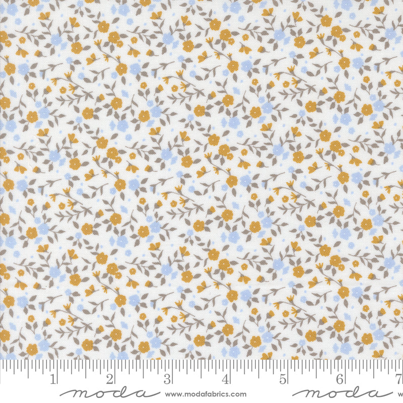 Sun Drenched - Floral - Cloud