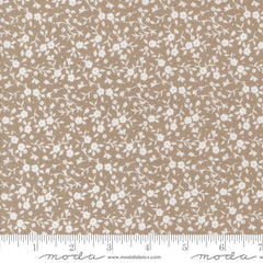 Sun Drenched - Floral - Stone