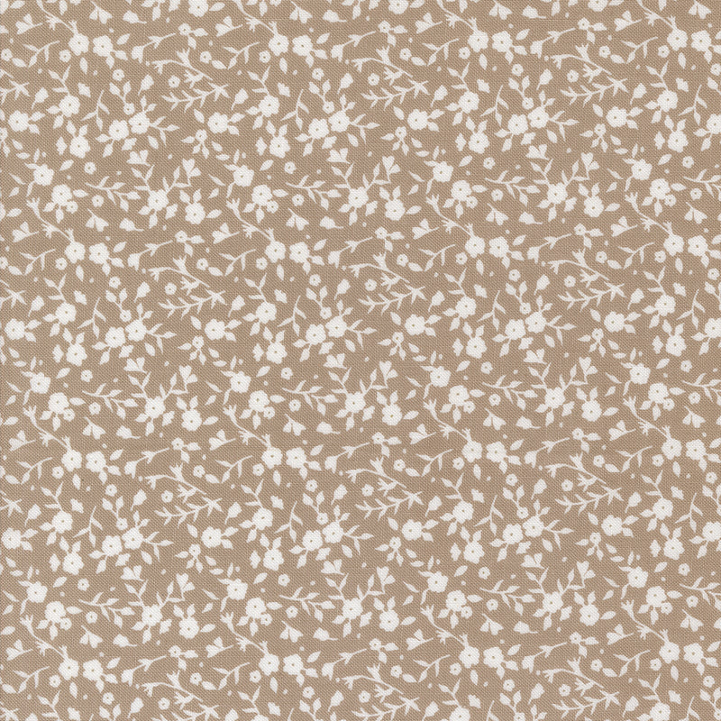Sun Drenched - Floral - Stone