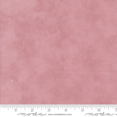 Lavender Fields - Blender Orchid