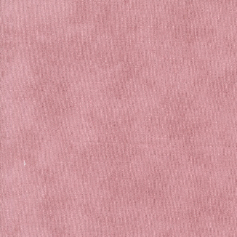 Lavender Fields - Blender Orchid