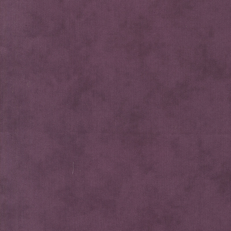 Lavender Fields - Blender Aubergine