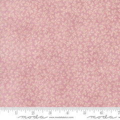 Lavender Fields - Vine Blender - Orchid