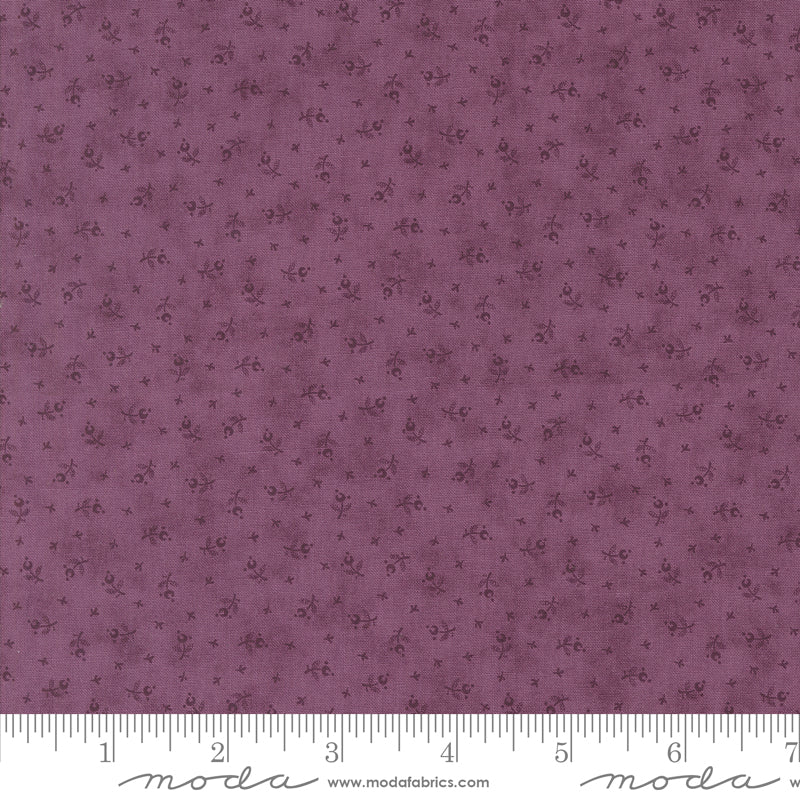 Lavender Fields - Tiny Buds - Pansy