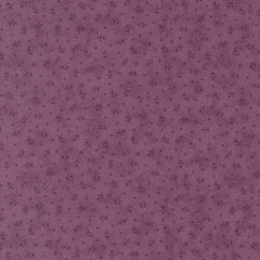 Lavender Fields - Tiny Buds - Pansy