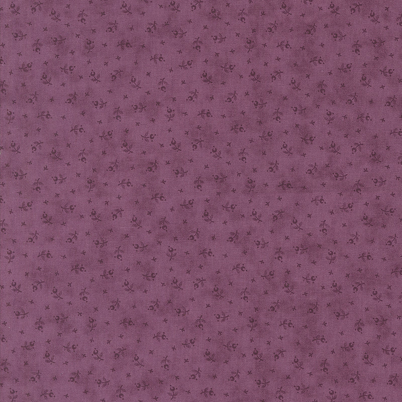 Lavender Fields - Tiny Buds - Pansy