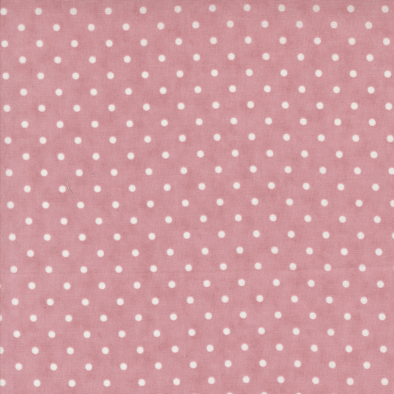 Lavender Fields - Perfect Dots - Orchid