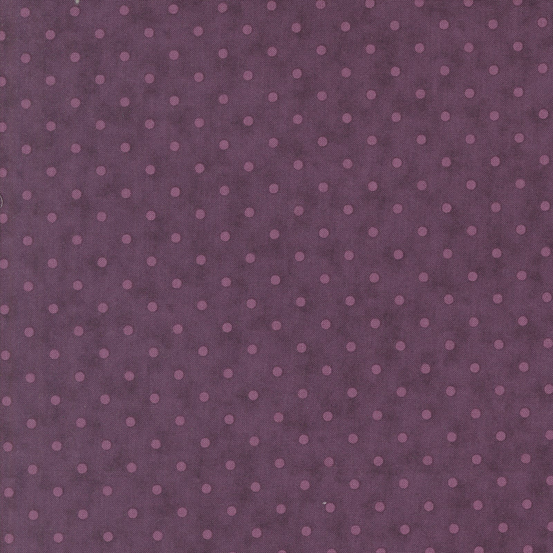 Lavender Fields - Perfect Dots - Auber