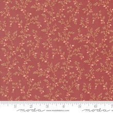 Load image into Gallery viewer, Sandalwood - Liana Vine - Berry