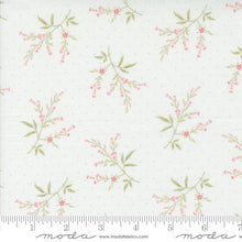 Load image into Gallery viewer, Muse - Fern Porcelain