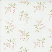 Load image into Gallery viewer, Muse - Fern Porcelain