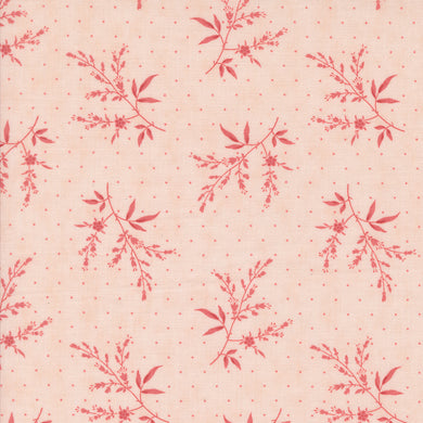 Muse - Fern Blush