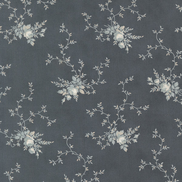 Breathtaking Blues – Climbing Roses – Slate