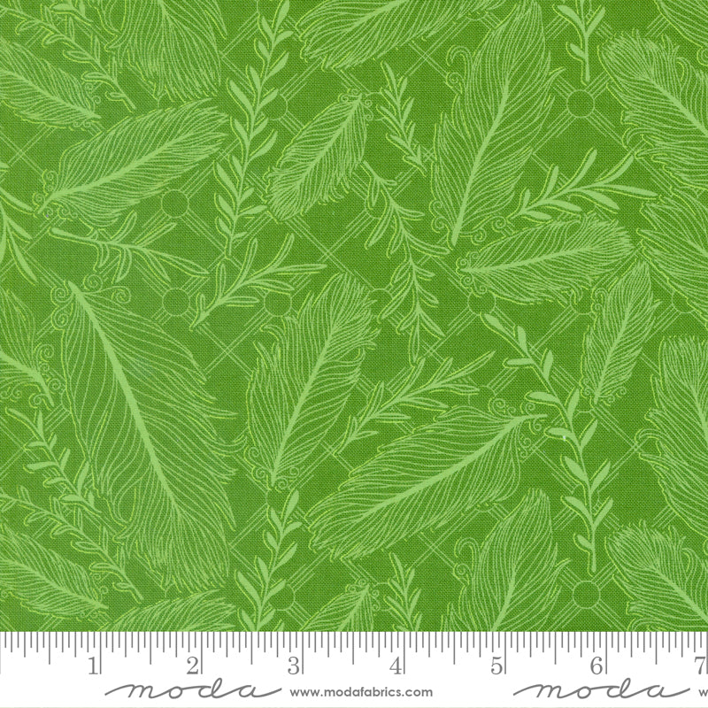 Land of Enchantment - Pluma Grass Green