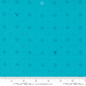 Land of Enchantment - Zia Turquoise
