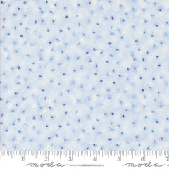 Winter Chill - Dots Frost - pre-order