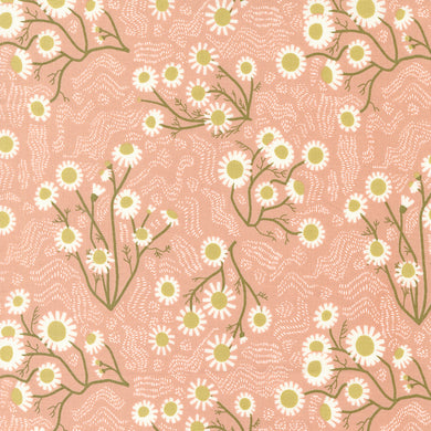 Quaint Cottage - Chamomile - Rose