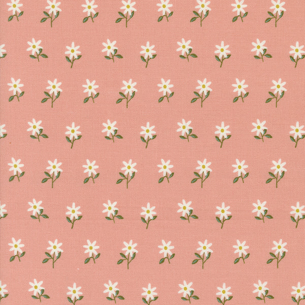 Imaginary Flowers - Wispy Flowers - Blossom