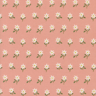 Imaginary Flowers - Wispy Flowers - Blossom