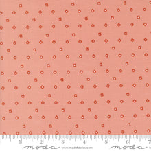 Load image into Gallery viewer, Imaginary Flowers - Baby Buds - Blossom