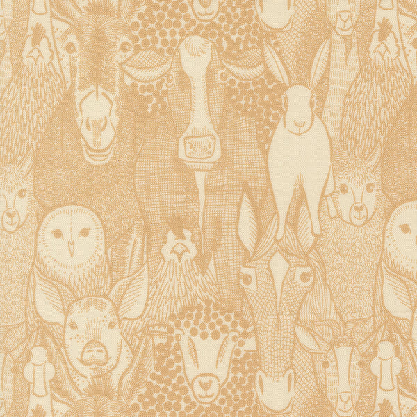 The Henhouse - Barnyard Faces - Hay