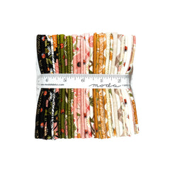 Ladybug Whimsy - Fat Quarter Bundle – 29 pieces
