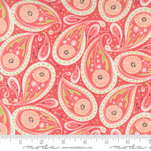 Load image into Gallery viewer, Dandi Duo - Paisley - Coral