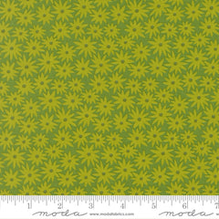 Scenery - Sedum - Floral - Limeade