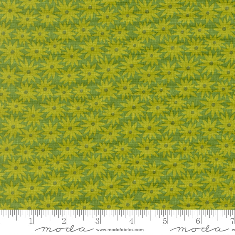 Scenery - Sedum - Floral - Limeade
