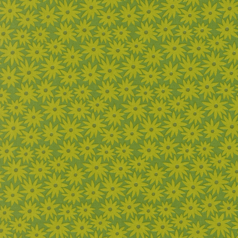 Scenery - Sedum - Floral - Limeade