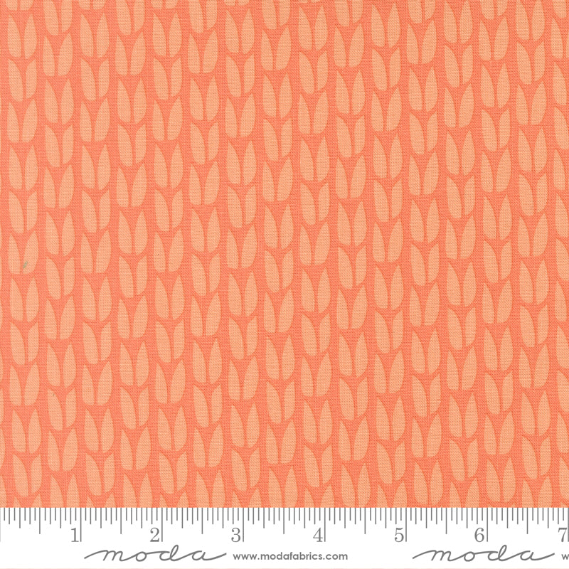 Scenery - Sprout - Coral