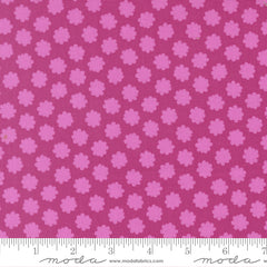 Scenery - Puffball - Passionfruit