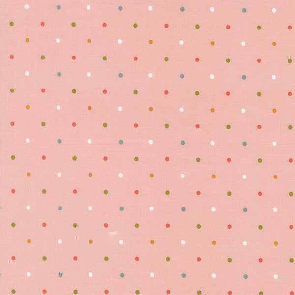 Wild Honey - Magic Dot Carnation