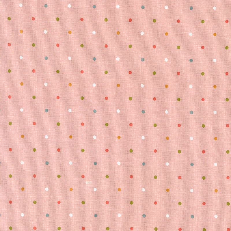 Wild Honey - Magic Dot Carnation