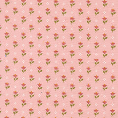 Wild Honey - Posies Carnation