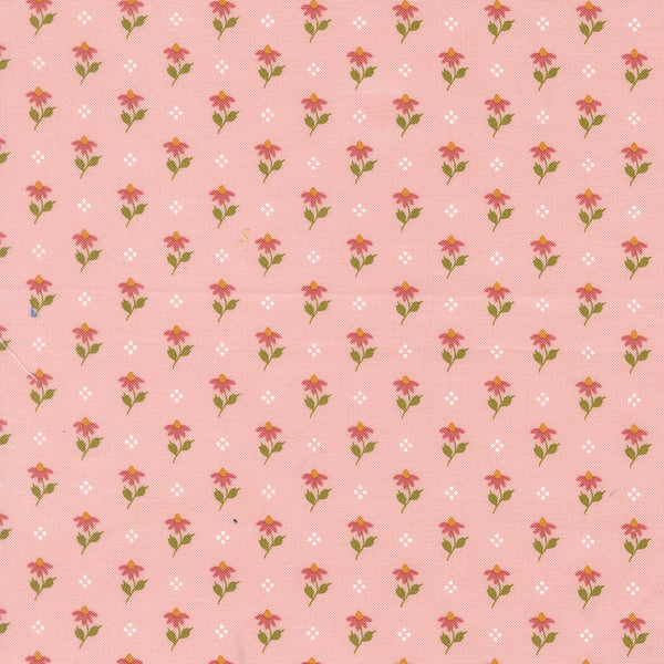 Wild Honey - Posies Carnation