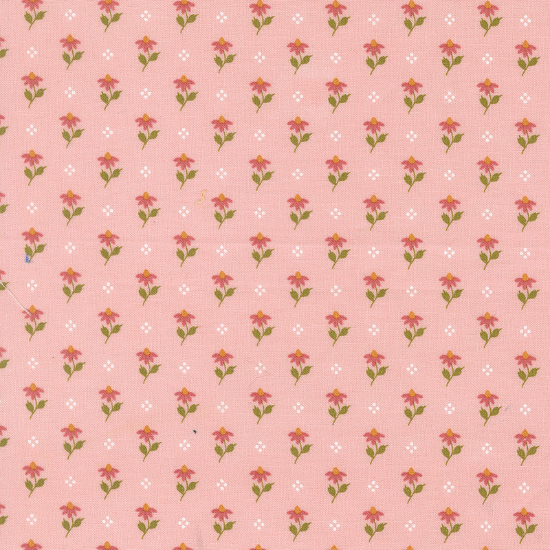 Wild Honey - Posies Carnation