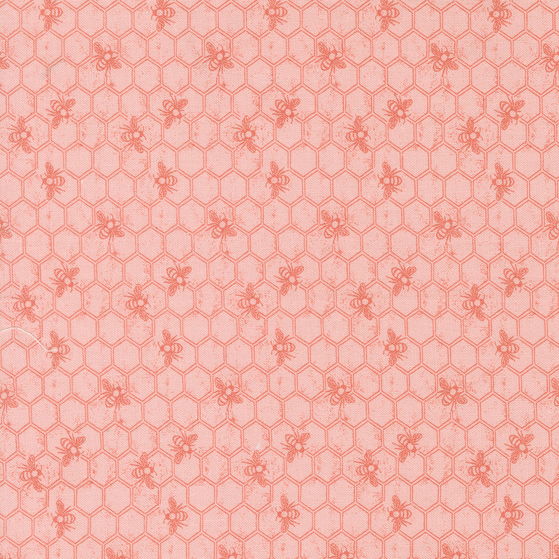 Wild Honey - Honeycomb Carnation