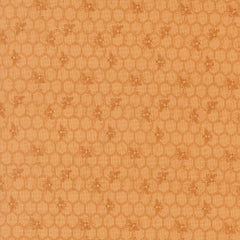 Wild Honey - Honeycomb Honey