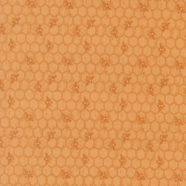 Wild Honey - Honeycomb Honey